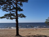 Достопримечательности Санкт-Петербурга. Финский залив. Пейзаж залива