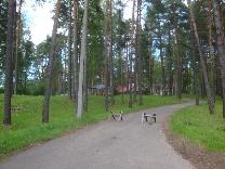 Достопримечательности Твери. Лагерь КомпьютериЯ. Дорога к берегу реки