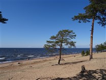 Достопримечательности Санкт-Петербурга. Финский залив. Песчаный берег