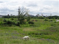 Достопримечательности Коломны. Бобренев монастырь. Вид на Коломну