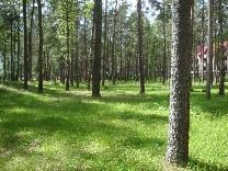 Достопримечательности Твери. Лагерь КомпьютериЯ.  