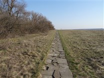 . Дивногорье. Пешеходная дорожка к Маяцкому городищу