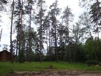 Достопримечательности Твери. Лагерь КомпьютериЯ. Лес